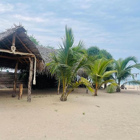 Surfing Beach Nilaveli トリンコマリー エクステリア 写真